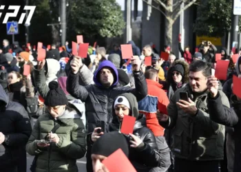 აქციის მონაწილეებს პარლამენტთან „წითელი ბარათები“ აქვთ მიტანილი