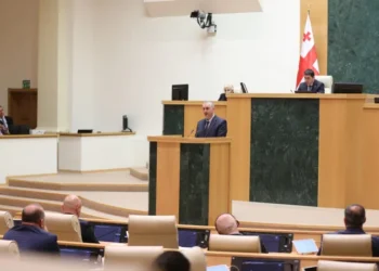 ფინანსთა მინისტრი – 2025 წელს პენსიებისა და კომპენსაციების მოცულობა იზრდება