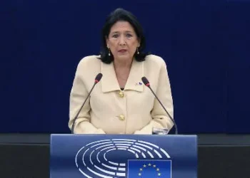 ეს არის მშვიდობიანი, მასობრივი სამოქალაქო დაუმორჩილებლობის მოძრაობა და ორ რამეს მოითხოვს – დამიბრუნე ჩემი ხმა, რადგან მოპარული არჩევნები ჩატარდა და რაც მთავარია, ჩემი ევროპული მომავალი – სალომე ზურაბიშვილი ევროპარლამენტში