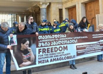 კოლეგები და მეგობრები მზია ამაღლობელს მოუწოდებენ, შიმშილობა შეწყვიტოს