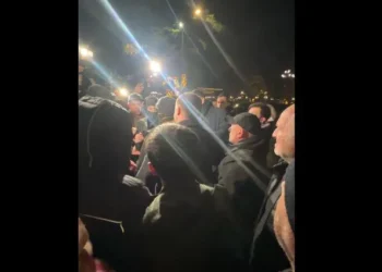 ზუგდიდში აქციაზე აქტივისტი მარიამ სიჭინავა დააკავეს