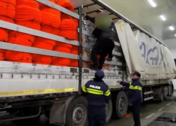 საზღვრის უკანონოდ გადაკვეთისა და მიგრანტის უკანონოდ გადაყვანის ფაქტზე უცხო ქვეყნის მოქალაქეები დააკავეს