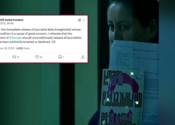 “გამოვდივარ მზია ამაღლობელის დაუყოვნებლივ გათავისუფლების მოწოდებით” – მედიის თავისუფლების საკითხებში ეუთო-ს წარმომადგენელი