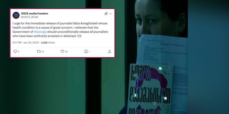 “გამოვდივარ მზია ამაღლობელის დაუყოვნებლივ გათავისუფლების მოწოდებით” – მედიის თავისუფლების საკითხებში ეუთო-ს წარმომადგენელი