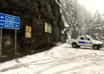 პოლიციამ მესტიაში მომხდარ ფაქტზე 2 პირი დააკავა