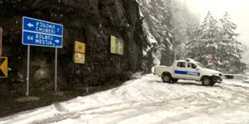 პოლიციამ მესტიაში მომხდარ ფაქტზე 2 პირი დააკავა