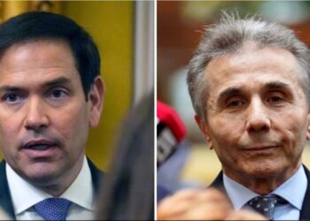 ივანიშვილის გარემოცვა, თურნავა, „რიჟა“, სხვა ბიზნესმენები – ვისი სია გაუგზავნეს მარკო რუბიოს, აშშ-ის მომავალ სახელმწიფო მდივანს