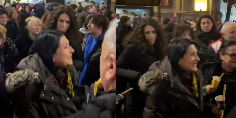 სალომე ზურაბიშვილი საშობაო აქციას შეუერთდა