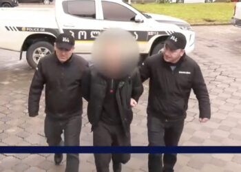 პოლიციამ ჯგუფურად, დიდი ოდენობით ჩადენილი ქურდობის ბრალდებით 3 პირი დააკავა