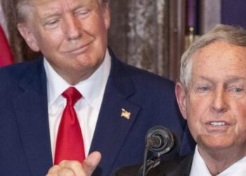 უილსონი: ტრამპი და მე ვიმუშავებთ, რათა საქართველოში სამართლიანი არჩევნები იქნას მიღწეული