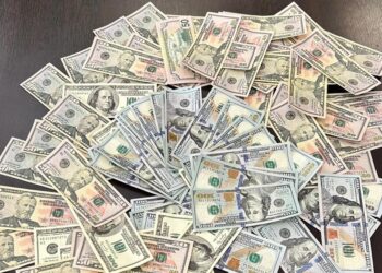 საგამოძიებო სამსახურმა ყალბი ფულის გასაღების ფაქტზე ერთი პირი დააკავა