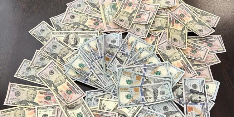 საგამოძიებო სამსახურმა ყალბი ფულის გასაღების ფაქტზე ერთი პირი დააკავა