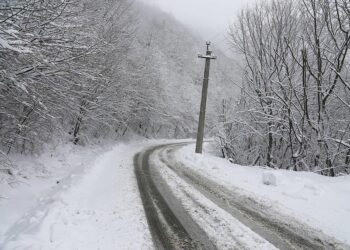ინტენსიური თოვის გამო საქართველოს გზების ზოგიერთ მონაკვეთზე შეზღუდვებია