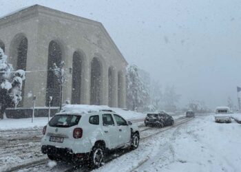 ოზურგეთში მართვის უფლების მისაღები პრაქტიკული გამოცდის პირველი და მეორე ეტაპები დროებით შეჩერებულია