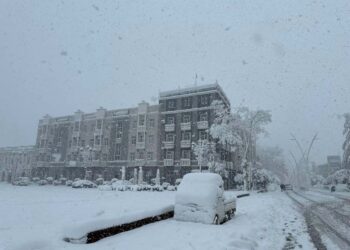 ოზურგეთის მუნიციპალიტეტში ძლიერმა თოვლმა პრობლემები შექმნა