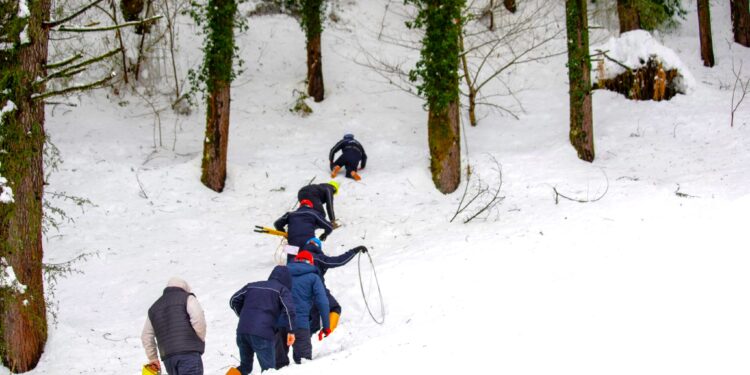 „ენერგო-პრო ჯორჯია“ – სტიქიის ზონაში აბონენტებისთვის ენერგომომარაგების აღდგენა გრძელდება