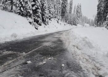 საჯავახო-ჩოხატაურის მონაკვეთზე მოძრაობა დროებით შეიზღუდა