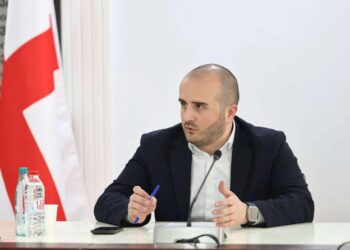 საქართველოს მთავრობის ადმინისტრაციის რეგიონებთან ურთიერთობის დეპარტამენტის უფროსი ნიკა ტყემალაძე სახელმწიფო რწმუნებულებს შეხვდა