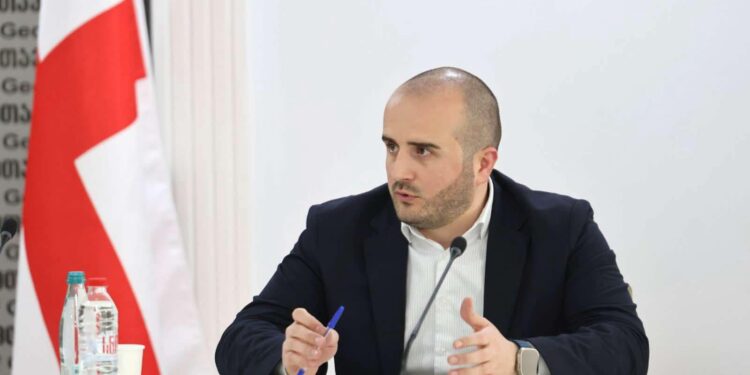 საქართველოს მთავრობის ადმინისტრაციის რეგიონებთან ურთიერთობის დეპარტამენტის უფროსი ნიკა ტყემალაძე სახელმწიფო რწმუნებულებს შეხვდა