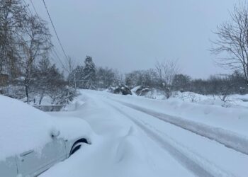 “წაქცეული ხეების გამო ვერ ხერხდება შუქის მიწოდების სრულყოფილად აღდგენა” – რა ვითარებაა ამ დროისთვის ოზურგეთში