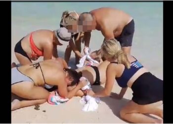 ტურისტს ფოტოების გადაღების დროს ზვიგენი დაესხა თავს – შემთხვევა კარიბის ზღვის სანაპიროზე