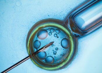 ტაილანდელი ქალებისგან კვერცხუჯრედების იძულებით მოპოვების საქმეზე შსს-ში გამოძიება მიმდინარეობს