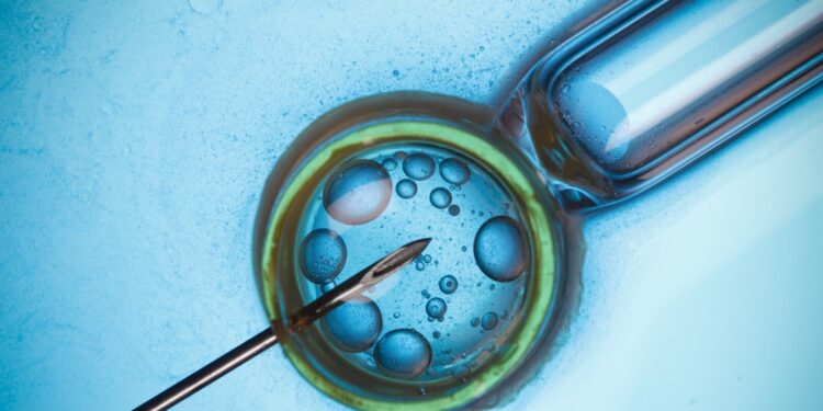 ტაილანდელი ქალებისგან კვერცხუჯრედების იძულებით მოპოვების საქმეზე შსს-ში გამოძიება მიმდინარეობს