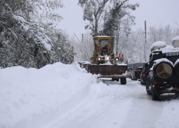 გურიაში გზების გაწმენდითი სამუშაოები მიმდინარეობს