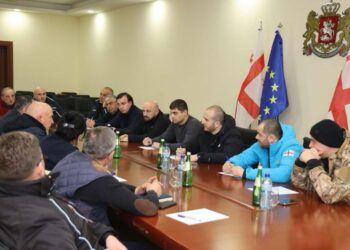 საქართველოს მთავრობის ადმინისტრაციის რეგიონებთან ურთიერთობის დეპარტამენტის უფროსი გურიაში სტიქიით გამოწვეულ პრობლემებს გაეცნო