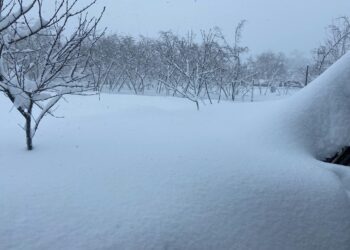 სტიქიას ოზურგეთში მსხვერპლი მოყვა – დაღუპულია მამაკაცი