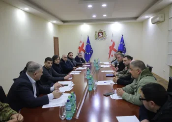 ირაკლი კობახიძე გურიის რეგიონში საკოორდინაციო შტაბის სხდომას მართავს