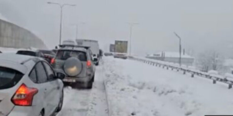 ზვავის შემდეგ რიკოთზე მოძრაობა აღდგა