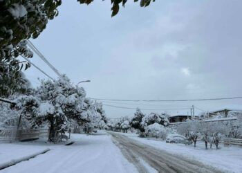 როგორი ამინდია მოსალოდნელი დღეს საქართველოში