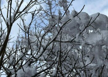 თოვლი, ზოგან ძლიერი, ზღვაზე შტორმი – უახლოესი დღეების პროგნოზი