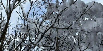 თოვლი, ზოგან ძლიერი, ზღვაზე შტორმი – უახლოესი დღეების პროგნოზი