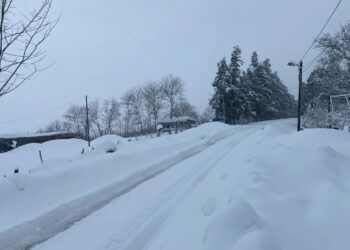 რას აცხადებს “ენერგო-პრო ჯორჯია” ოზურგეთში ელექტროენერგიის პრობლემებთან დაკავშირებით