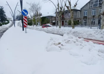 ჩოხატაურის მუნიციპალიტეტის საკრებულოს ოპოზიციონერი წევრის ინფორმაციით, რამდენიმე სოფელი კვლავ გარე სამყაროსაა მოწყვეტილი და მოსახლეობასთან კომუნიკაცია ვერ ხერხდება