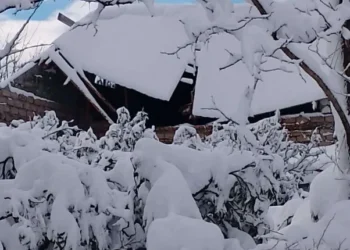 თოვლი გურიაში