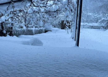 ოზურგეთის მუნიციპალიტეტის სოფლებში გზის გაწმენდა ჯერჯერობით ვერ ხერხდება