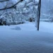 ოზურგეთის მუნიციპალიტეტის სოფლებში გზის გაწმენდა ჯერჯერობით ვერ ხერხდება