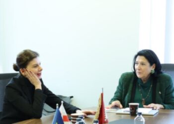 თამარ ჩერგოლეიშვილი – სალომე ზურაბიშვილს გადავეცით რეჟიმის უკანონო დავალებათა შემსრულებლების სია