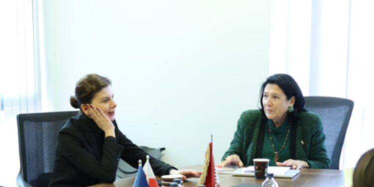 თამარ ჩერგოლეიშვილი – სალომე ზურაბიშვილს გადავეცით რეჟიმის უკანონო დავალებათა შემსრულებლების სია