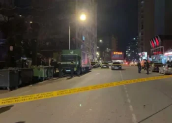 ბათუმში მომხდარი დაჭრის შესახებ დამატებითი დეტალები ხდება ცნობილი