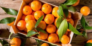 იანვარში, საქართველოდან მანდარინის ექსპორტი 82%-ით შემცირდა