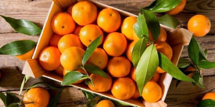 იანვარში, საქართველოდან მანდარინის ექსპორტი 82%-ით შემცირდა