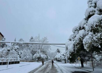 დიდთოვლობისა და უამინდობის გამო ოზურგეთში მუნიციპალური ტრანსპორტი არ მოძრაობს