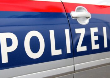 ვენაში საქართველოს მოქალაქე დააკავეს, რომელიც არალეგალურ კოსმეტიკურ ოპერაციებს ატარებდა