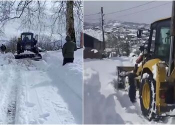 უხვმა ნალექმა პრობლემები შექმნა ოზურგეთის სოფლებში