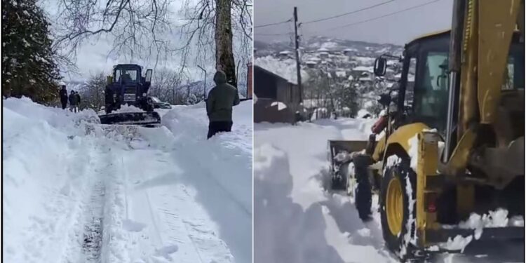 უხვმა ნალექმა პრობლემები შექმნა ოზურგეთის სოფლებში