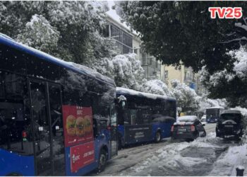 ერთმანეთს ავტობუსი და მსუბუქი ავტომობილი შეეჯაცხა – ავარია ბათუმში